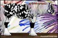 Horse Color:Nacre White Spotted Silver Smoky Grullo Ice Roan Snowdrop Splash Blanket