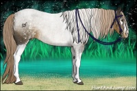 Horse Color:White Spotted Chocolate Palomino Varnish Rabicano 