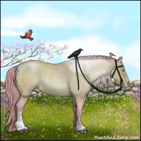 Horse Color:Watercolor Brown Roan Pearl Sabino