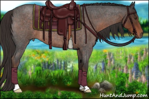 Horse Color:Liver Red Roan 