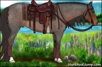 Horse Color:Liver Red Roan 