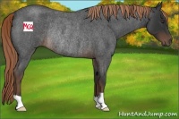 Horse Color:Liver Red Roan Rabicano 