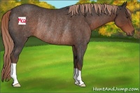 Horse Color:Liver Red Roan Rabicano 