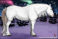 Horse Color:Bay Roan Appaloosa 