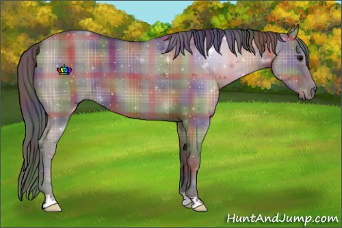 Horse Color:Nacre Plaid  Grullo 