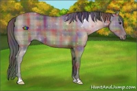 Horse Color:Nacre Plaid Grullo