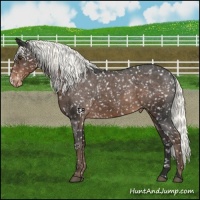Horse Color:Liver Chestnut Mushroom Snowflake Varnish