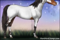 Horse Color:Buckskin Near Fewspot 