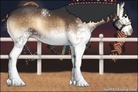 Horse Color:White Spotted Brown Onyx