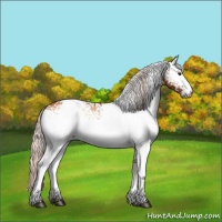 Horse Color:White Spotted Silver Bay Onyx Brindle 