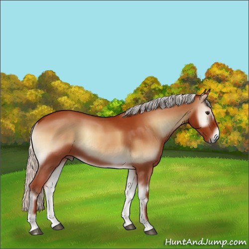 Horse Color:Silver Bay Onyx 