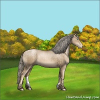 Horse Color:Chocolate Palomino Pearl Sabino 