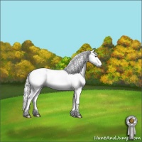 Horse Color:Gray Liver Chestnut Sabino Rabicano