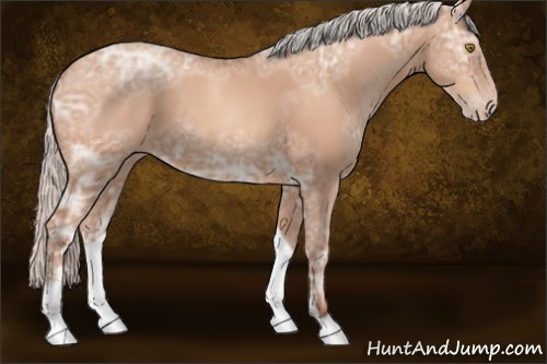 Horse Color:Silver Sable Champagne Ice Sabino 