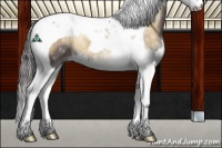 Horse Color:Smoky Blue Onyx Ice Splash Tobiano 