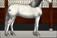 Horse Color:Liver Red Dun Ice Onyx Sabino 