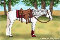 Horse Color:Chestnut Blanket 