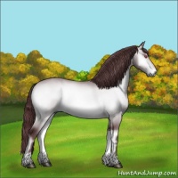 Horse Color:Chocolate Brown Chinchilla Onyx 