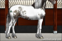 Horse Color:White Spotted Classic Champagne Ice Onyx Tobiano