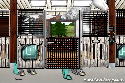 Horse Color:Brown Dun Sabino Splash Rabicano 