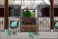 Horse Color:Brown Dun Sabino Splash Rabicano 