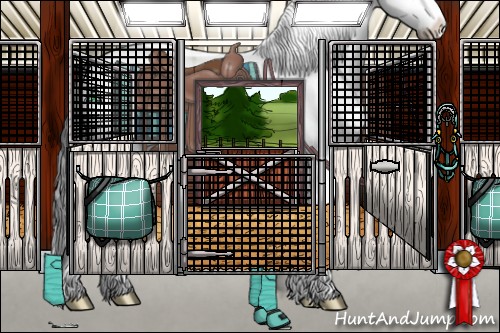 Horse Color:Grullo Sabino Splash