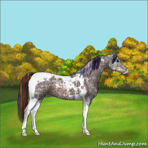 Horse Color:ERROR: UNKNOWN ANOMALY