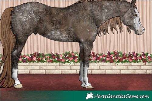 Horse Color:Liver Red Dun Ice 