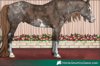 Horse Color:Liver Red Dun Ice 
