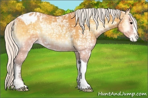 Horse Color:Silver Buckskin Ice Onyx Blanket 