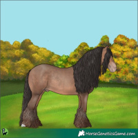 Horse Color:Sable Champagne Rabicano