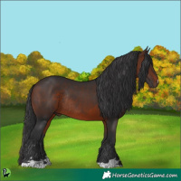 Horse Color:Brown Rabicano 