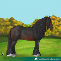 Horse Color:Brown Rabicano 