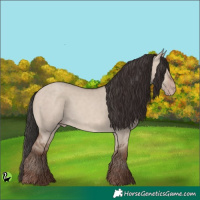 Horse Color:Sable Champagne Dun Rabicano
