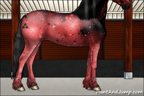 Horse Color:ERROR: UNKNOWN ANOMALY