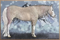 Horse Color:Silver Grullo Ice Sabino Splash
