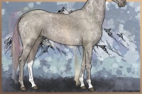 Horse Color:Silver Grullo Ice 