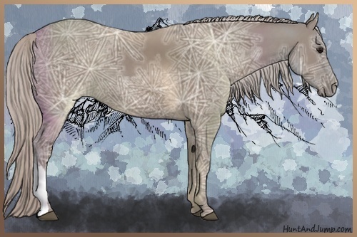 Horse Color:Silver Grullo Ice 