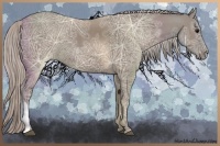 Horse Color:Silver Grullo Ice 