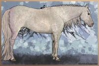 Horse Color:Silver Grullo Ice