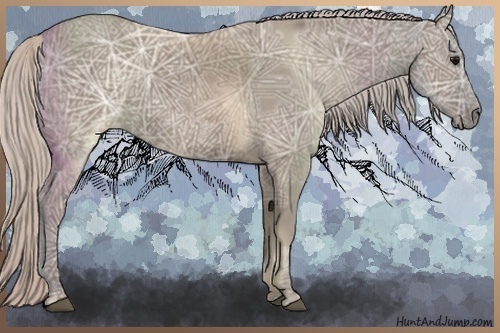 Horse Color:Silver Grullo Ice 