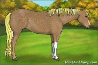 Horse Color:Painted Silver Smoky Black 