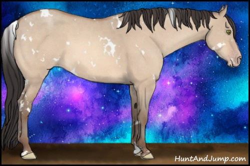 Horse Color:White Spotted Amber Champagne Dun 