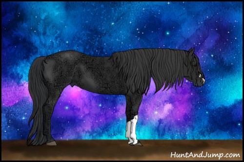 Horse Color:Black Ice 