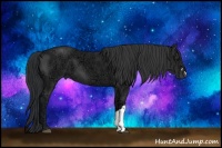 Horse Color:Black Ice