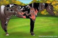 Horse Color:White Spotted Liver Chestnut Tobiano 