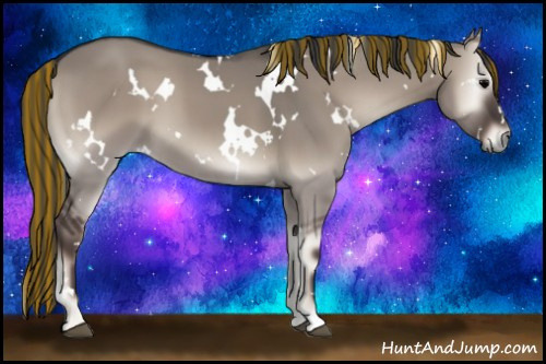 Horse Color:Painted White Spotted Grullo Onyx 