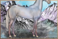 Horse Color:Silver Brown Pearl Dun 