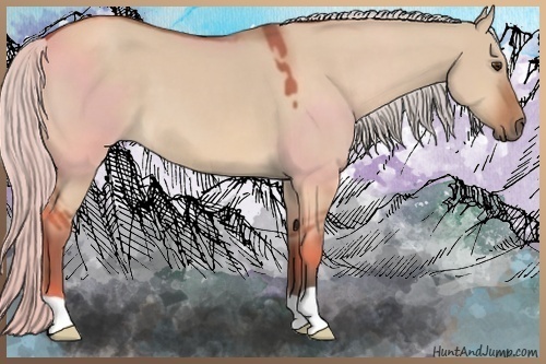 Horse Color:Silver Brown Dun 