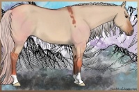 Horse Color:Silver Brown Dun 